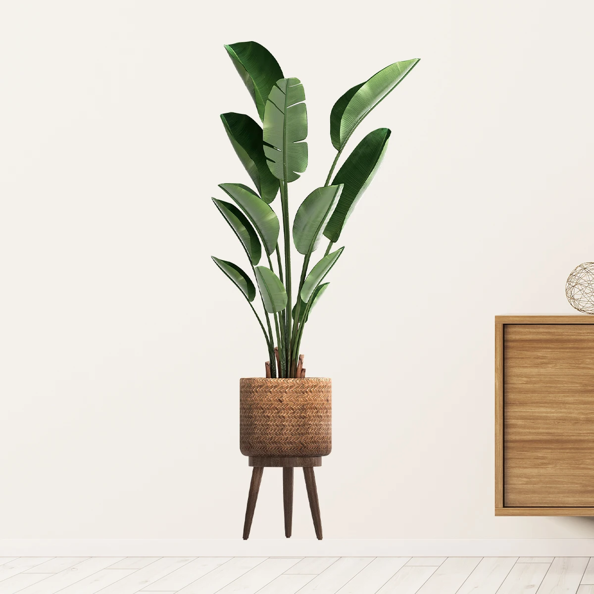 Simulazione Pianta verde Adesi - Office Furniture Design recensione e prezzo