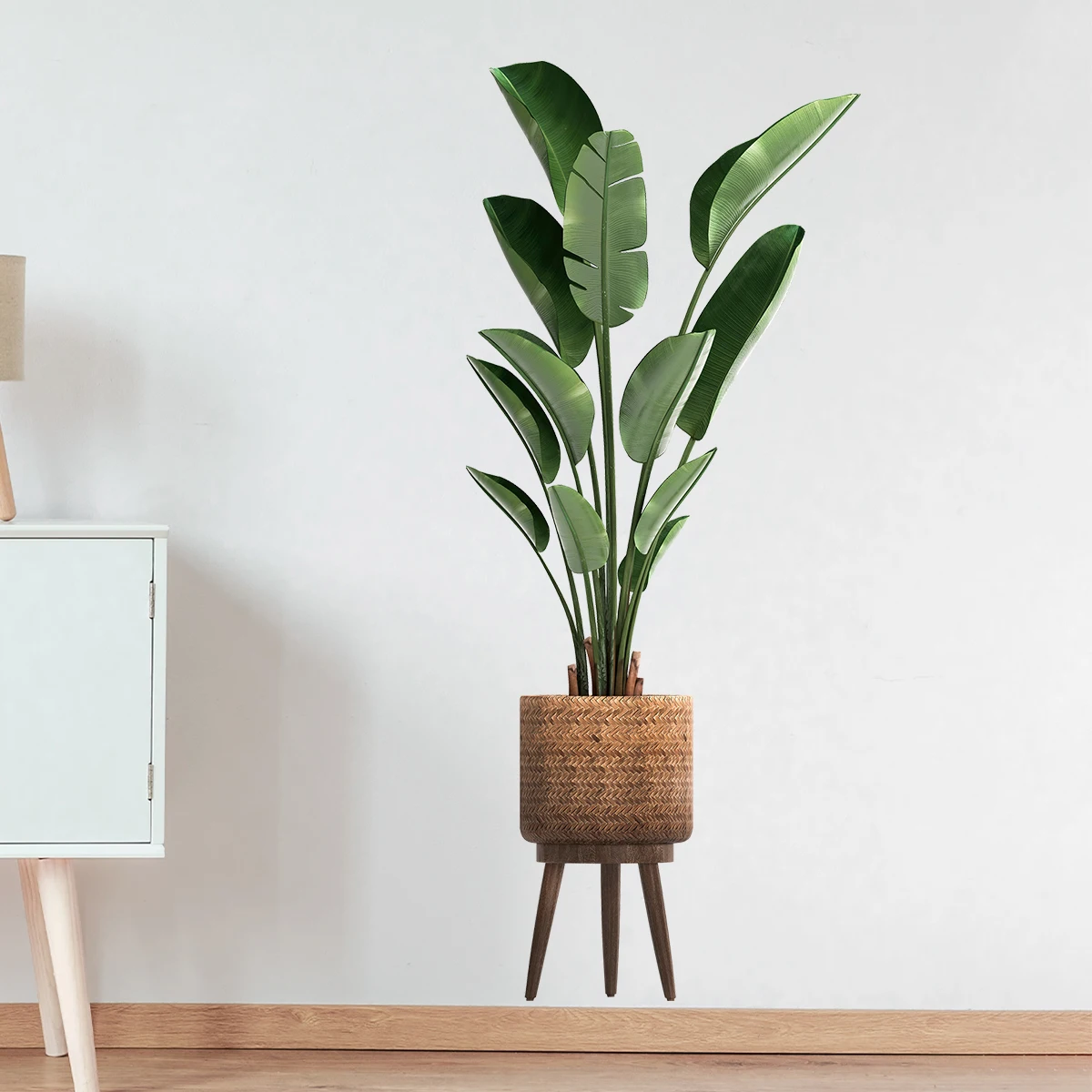Simulazione Pianta verde Adesi - Office Furniture Design recensione e prezzo